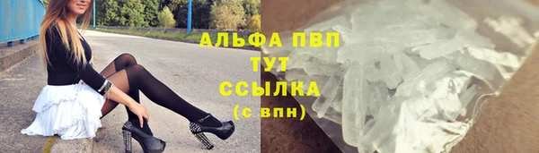 ПСИЛОЦИБИНОВЫЕ ГРИБЫ Богородицк