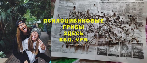 не бодяженный Богородск