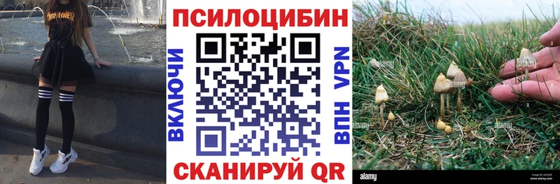 Псилоцибиновые грибы мицелий  блэк спрут онион  Староминская 